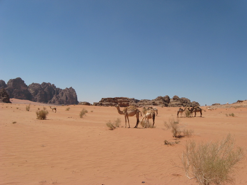 Wadi Rum 122