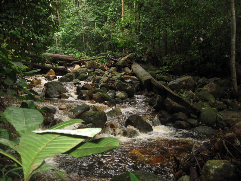 Kuching, Damai 030