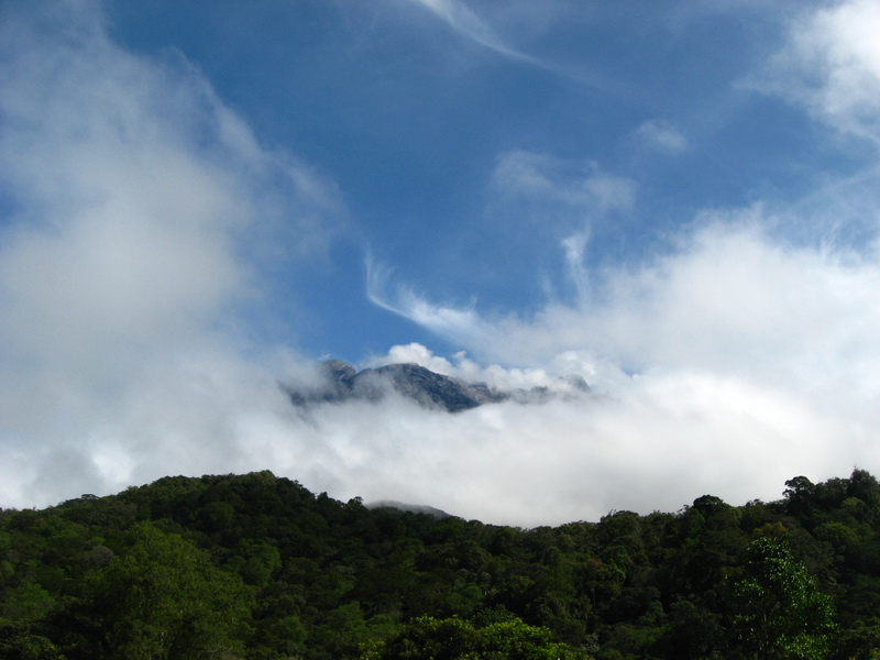 Mt Kinabalu 005