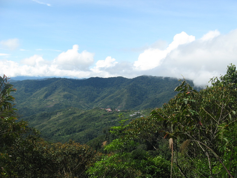 Mt Kinabalu 019