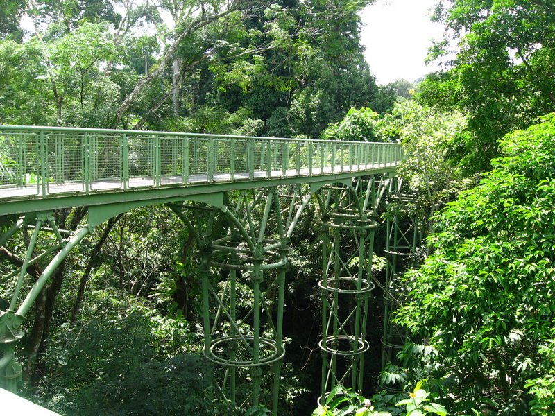 Sepilok, Rainforest discovery centre 6