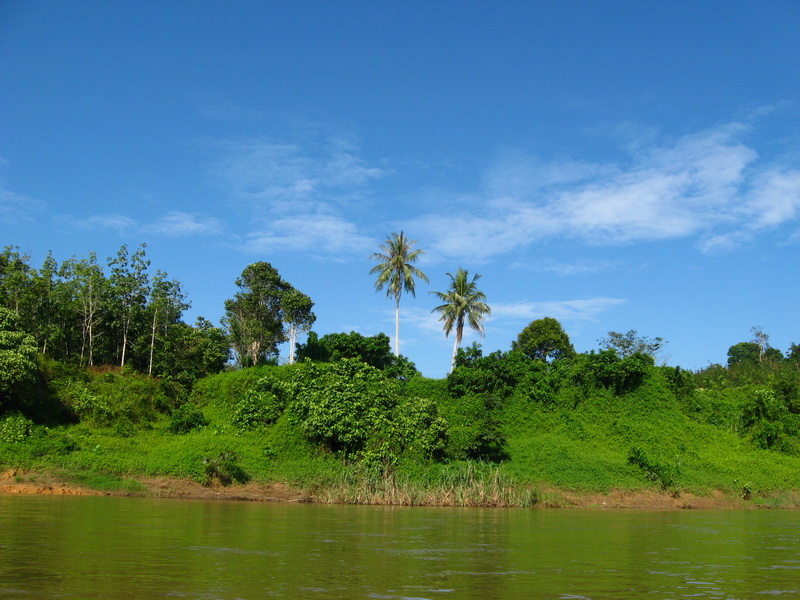 Taman Negara 018