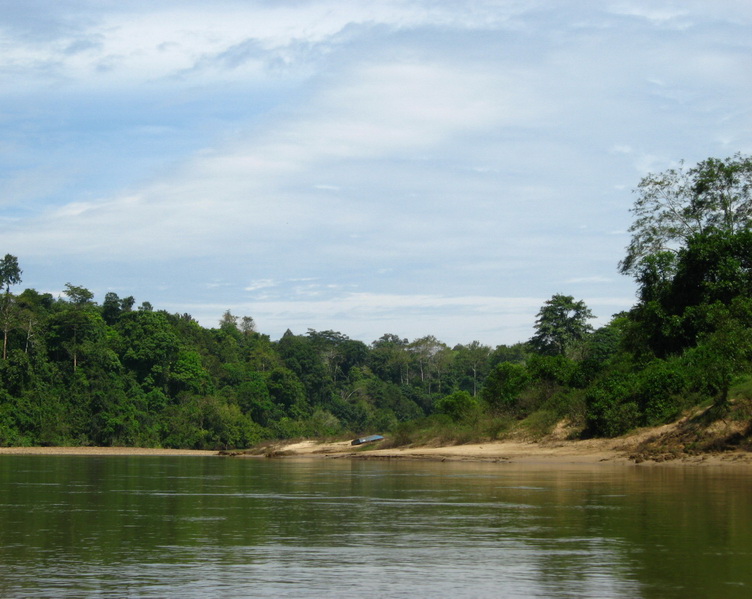 Taman Negara 036