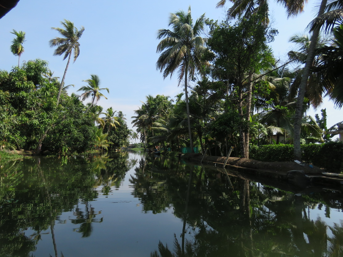 Alleppey, backwaters