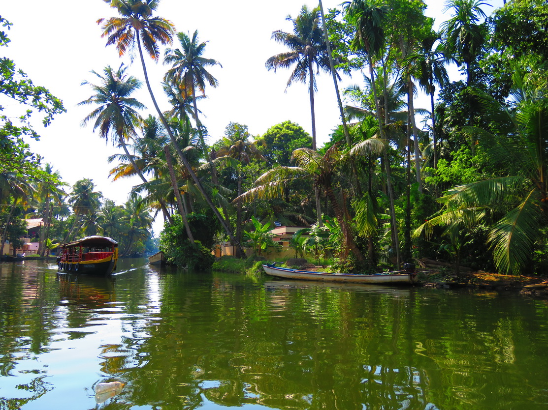 Alleppey, backwaters