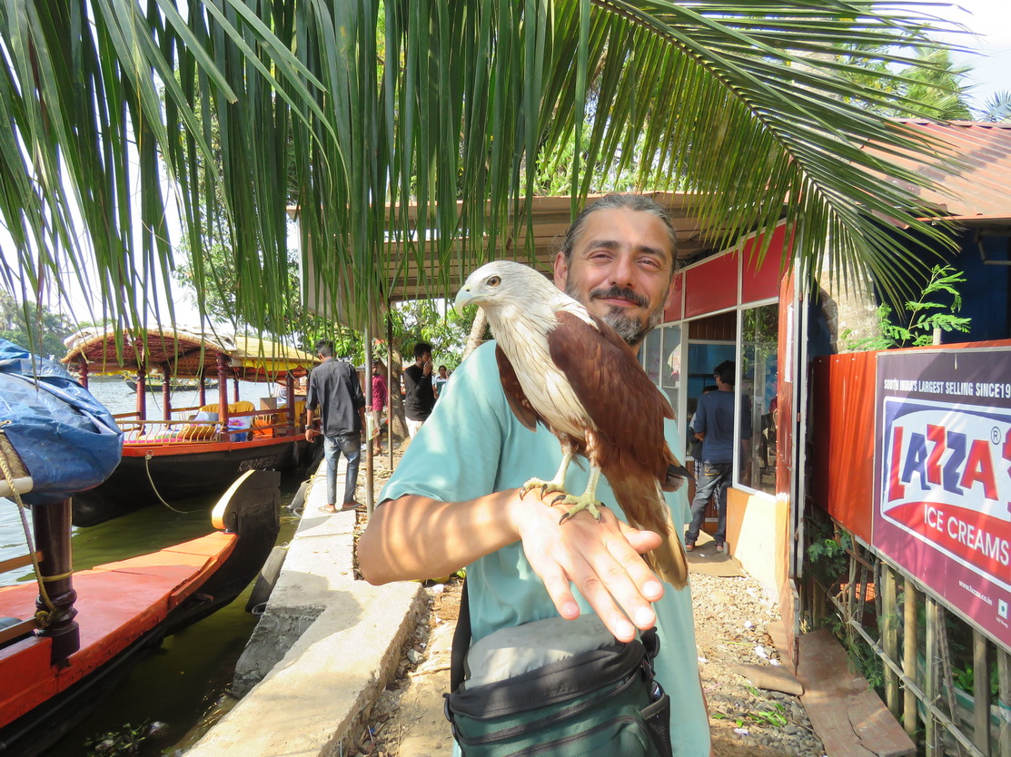 Alleppey, backwaters