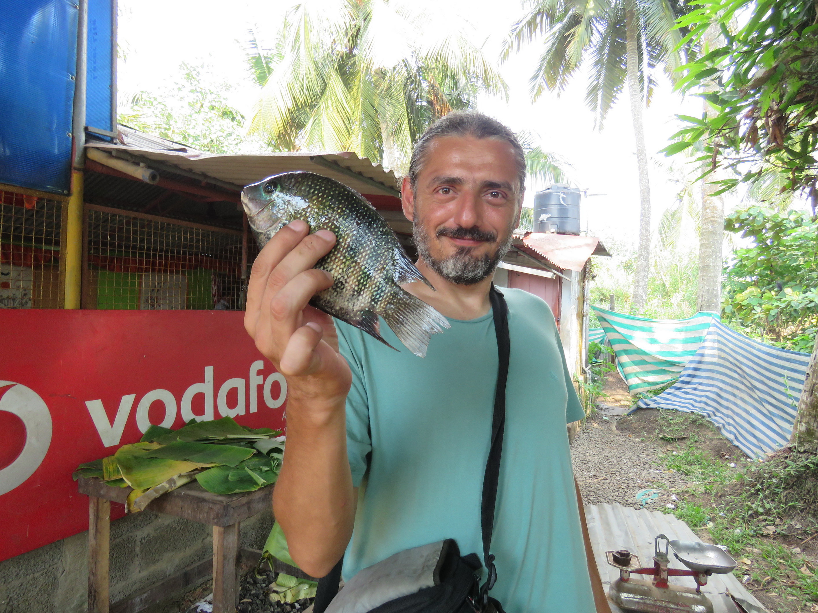 Alleppey, backwaters